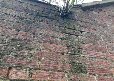 above and beyond property care gallery 5